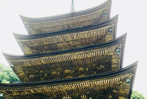 瑠璃光寺の写真・動画_image_223253