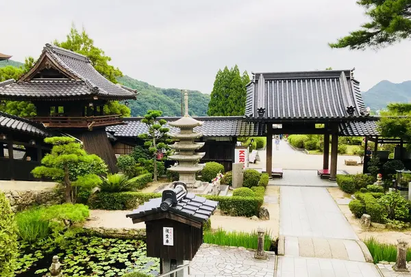 瑠璃光寺の写真・動画_image_223254