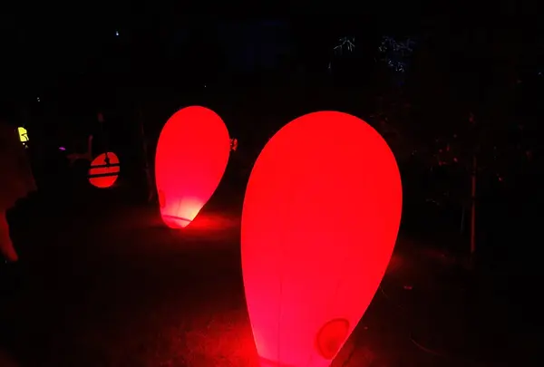 ときわ公園の写真・動画_image_223276