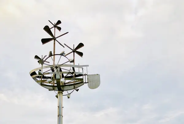 ときわ公園の写真・動画_image_223278