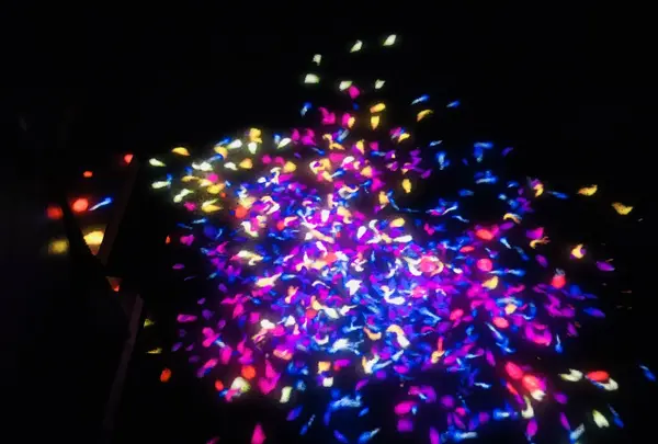 ときわ公園の写真・動画_image_223279