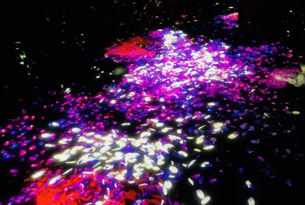 ときわ公園の写真・動画_image_223280