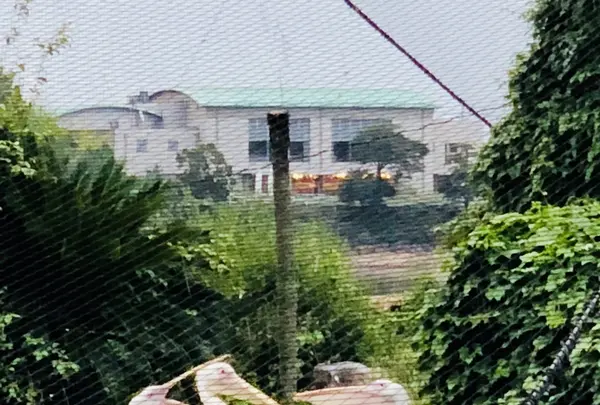 ときわ公園の写真・動画_image_223281