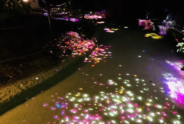 ときわ公園の写真・動画_image_223288