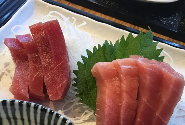 庄和丸の写真・動画_image_223349