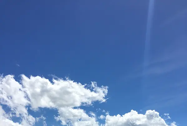 大石公園の写真・動画_image_223410