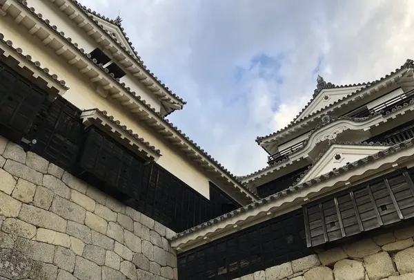 松山城の写真・動画_image_224003