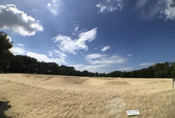 銭形砂絵（寛永通宝）の写真・動画_image_224064