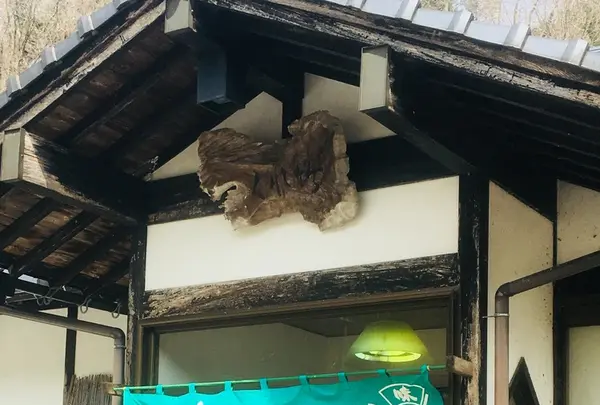 くれ竹の写真・動画_image_224291