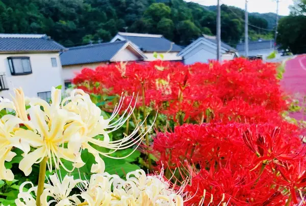 いきいき公園の写真・動画_image_224307