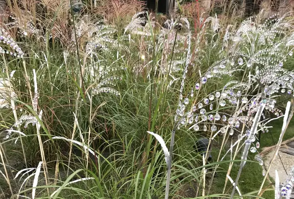 箱根ガラスの森美術館の写真・動画_image_224338