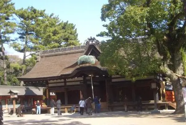 住吉大社の写真・動画_image_224384