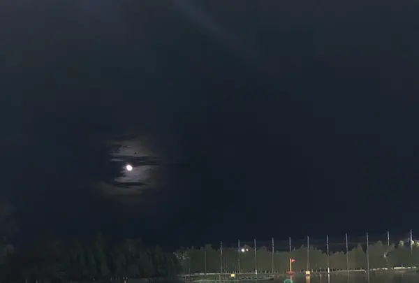 ダイナミックゴルフ茂原の写真・動画_image_224470