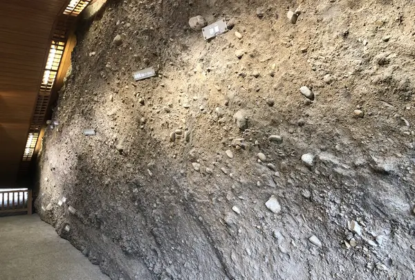 湯築城の写真・動画_image_224490