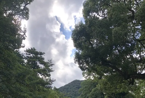 金刀比羅宮（こんぴらさん）の写真・動画_image_224564