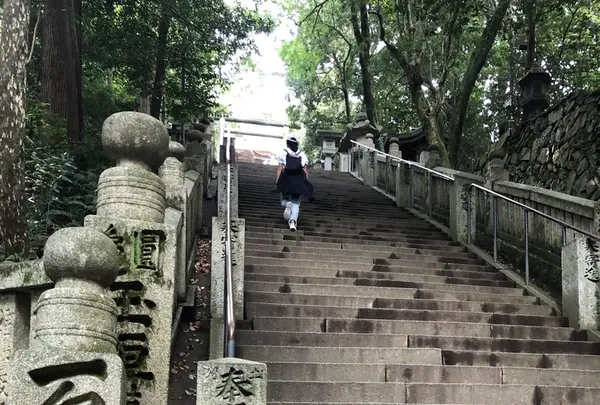 金刀比羅宮（こんぴらさん）の写真・動画_image_224569