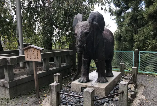 金刀比羅宮（こんぴらさん）の写真・動画_image_224571