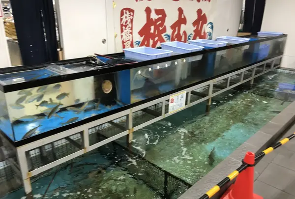 海辺の湯 久里浜店の写真・動画_image_224577