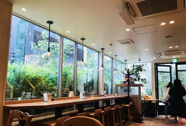 EVERYTHING SALAD 青山の写真・動画_image_224594