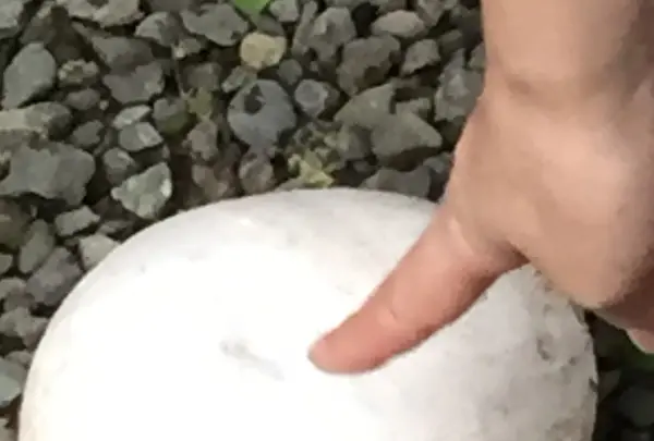 瑞泉寺の写真・動画_image_224636
