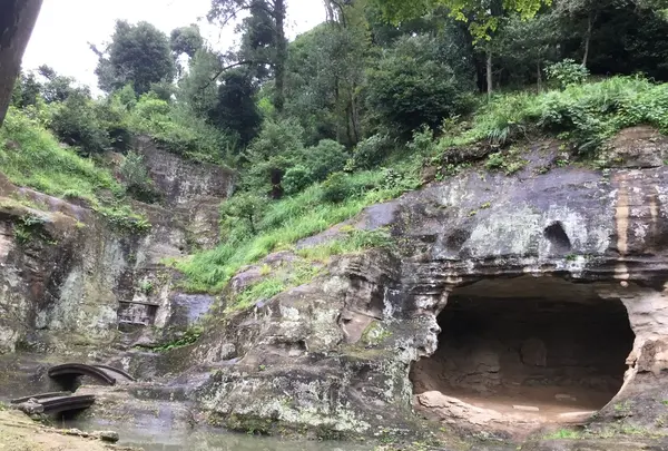 瑞泉寺の写真・動画_image_224641