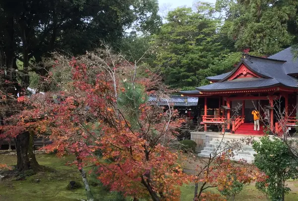 大覚寺の写真・動画_image_224664