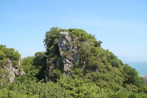 五行山の写真・動画_image_224804