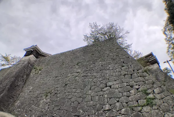 松山城の写真・動画_image_224968