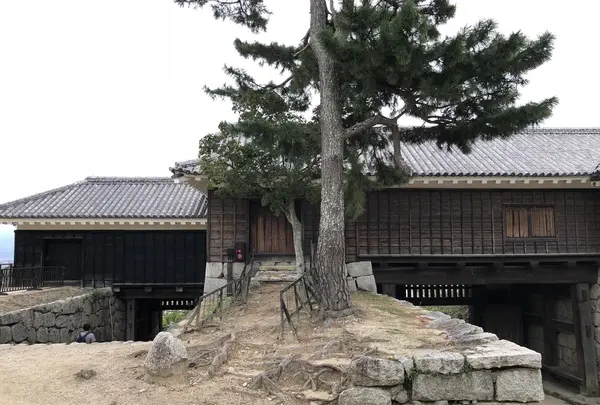 松山城の写真・動画_image_224973