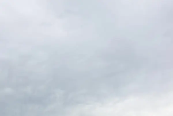 松山城の写真・動画_image_224979