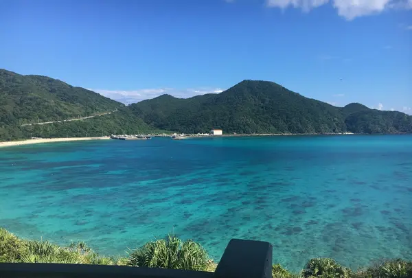 阿波連ビーチの写真・動画_image_225268