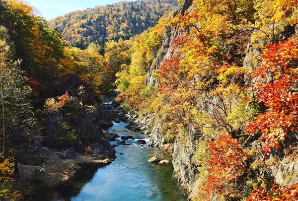 定山渓の写真・動画_image_225343