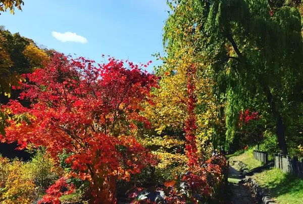 定山渓の写真・動画_image_225344