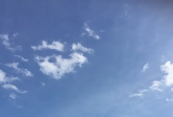 羊ヶ丘展望台の写真・動画_image_225346