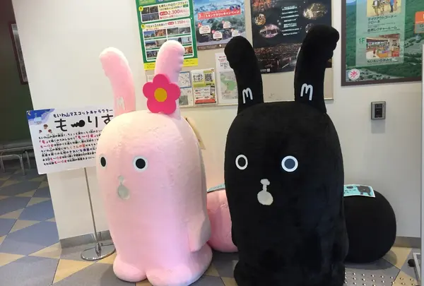藻岩山の写真・動画_image_225355