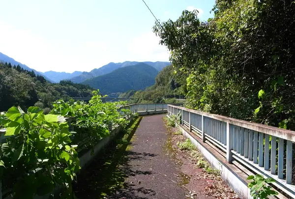 大野虹の湖歩道橋の写真・動画_image_225473