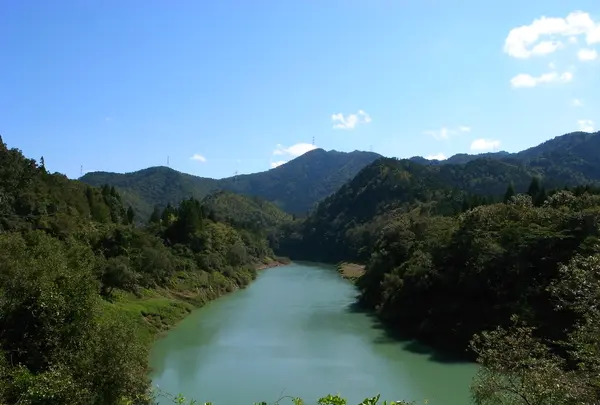 大野虹の湖歩道橋の写真・動画_image_225474