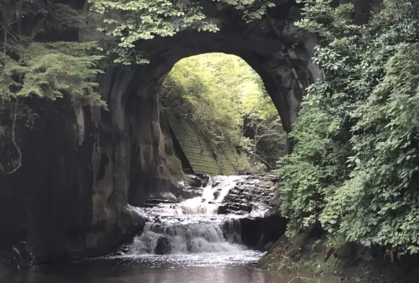 濃溝の滝の写真・動画_image_226132