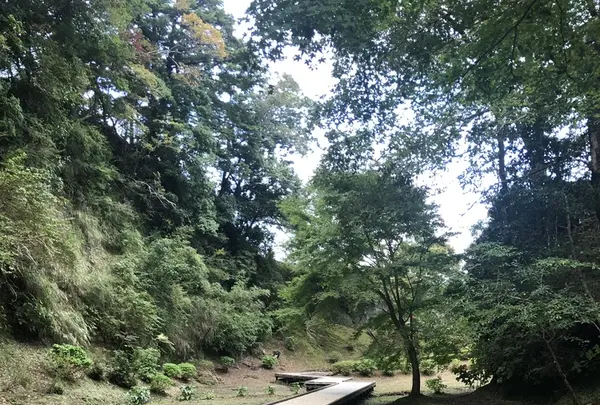 濃溝の滝の写真・動画_image_226136