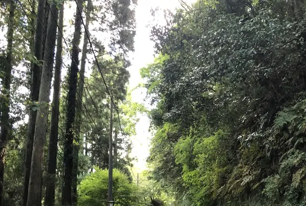 久留里城の写真・動画_image_226172