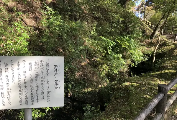 久留里城の写真・動画_image_226175