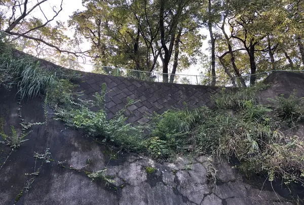 久留里城の写真・動画_image_226178