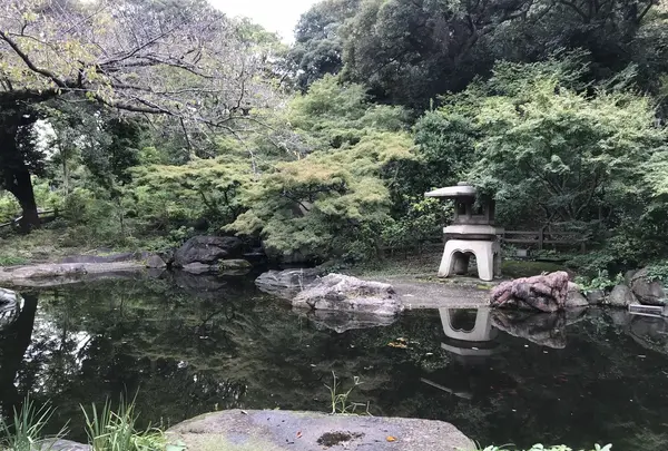 伊勢山皇大神宮の写真・動画_image_226297