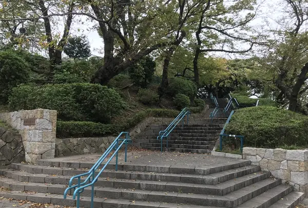 伊勢山皇大神宮の写真・動画_image_226298