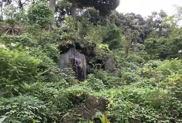 伊勢山皇大神宮の写真・動画_image_226299