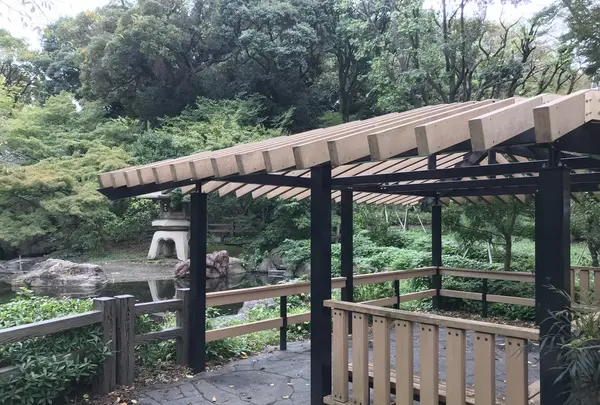 伊勢山皇大神宮の写真・動画_image_226301