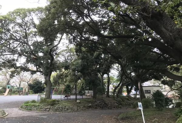 伊勢山皇大神宮の写真・動画_image_226314