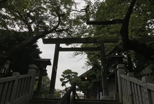 伊勢山皇大神宮の写真・動画_image_226328