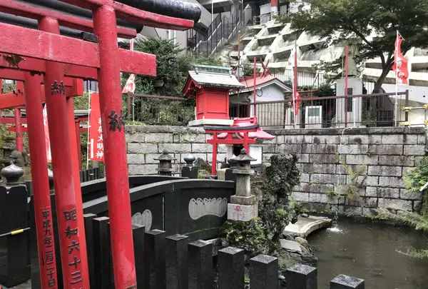 伊勢山皇大神宮の写真・動画_image_226337