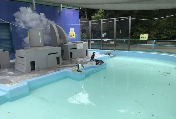 伊勢山皇大神宮の写真・動画_image_226340